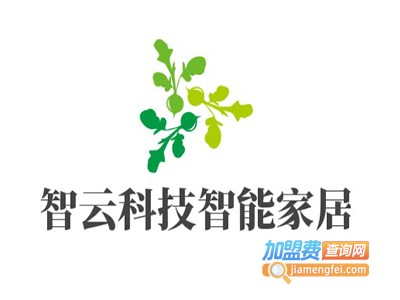 智云科技智能家居