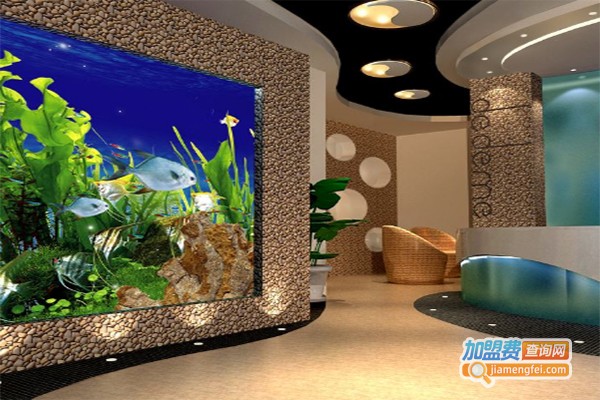 秀美兰伊养生馆加盟费