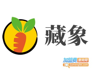 藏象加盟费