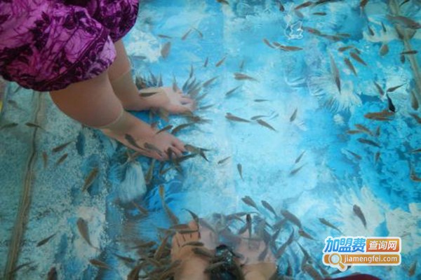 小鱼足疗加盟门店