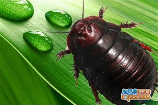 益农土元加盟费