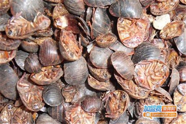 中科惠农土元养殖