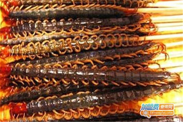 三农蜈蚣养殖加盟费