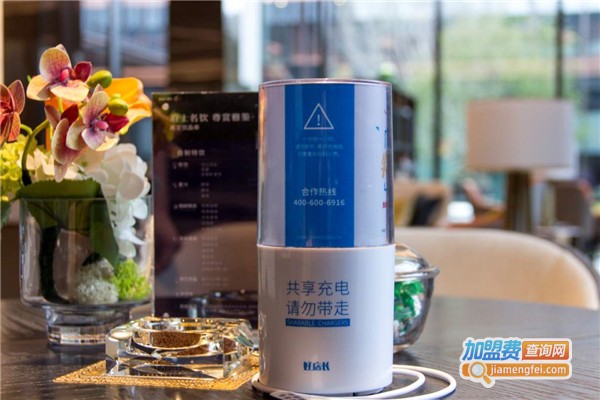 好店长共享充电宝加盟费