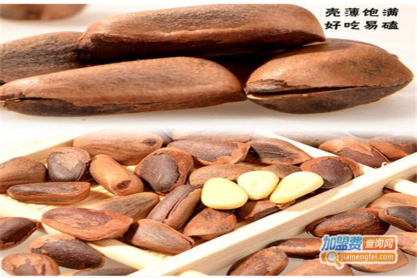 康泰生物加盟费