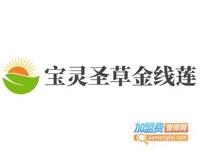 宝灵圣草金线莲加盟费