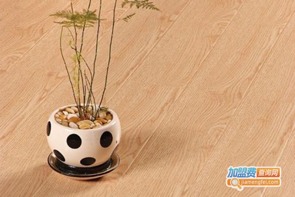 圣罗娜复合地板