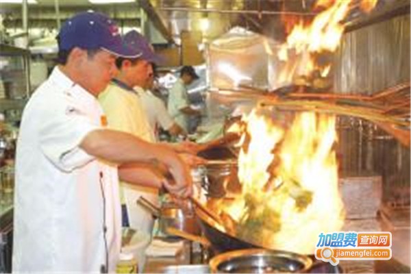 典雅慧能生物醇油加盟