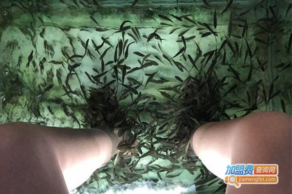 小鱼足疗加盟门店