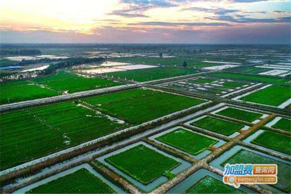 潜江小龙虾养殖加盟费