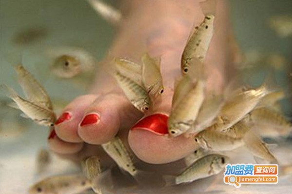 小鱼足疗加盟门店