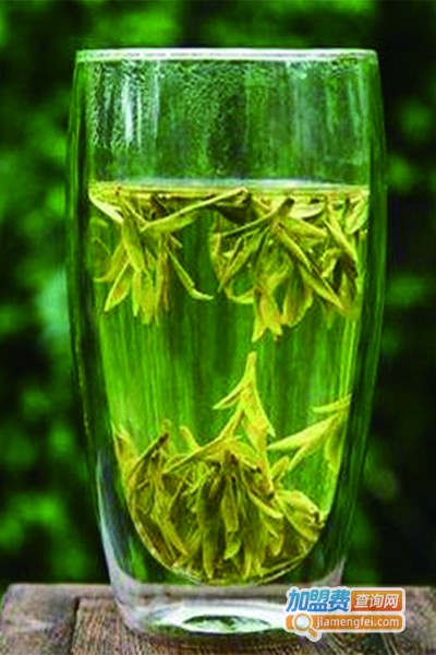 安溪朝阳茶业