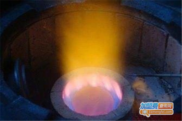 金尊生物醇油加盟费