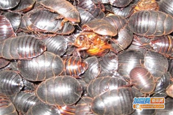 益农土元加盟费