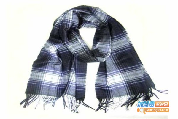 前卫e站围巾加盟费