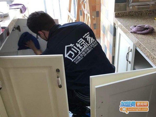 创绿家空气净化除甲醛加盟