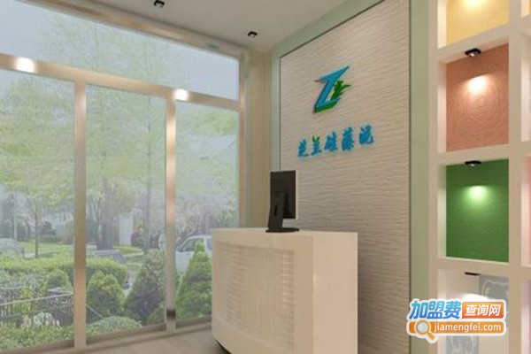 芝兰硅藻泥加盟