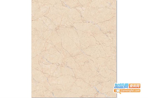 尊利瓷砖加盟门店