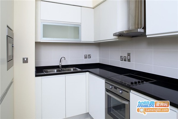 纳普斯环保吸油烟机加盟