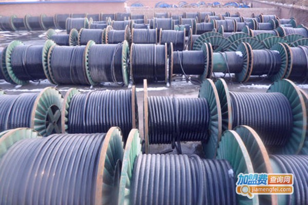 金川电缆加盟门店