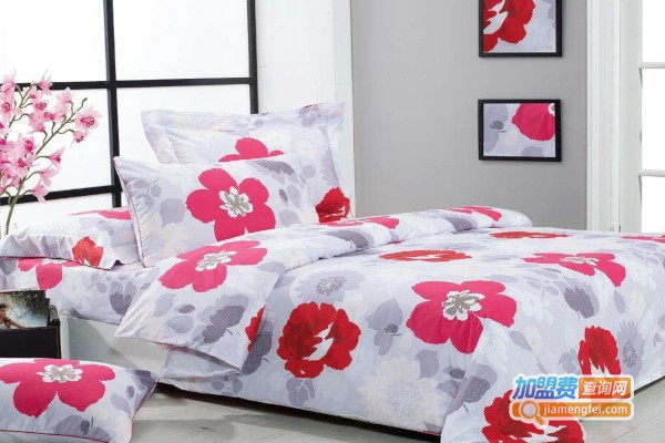 昨夜星辰加盟费