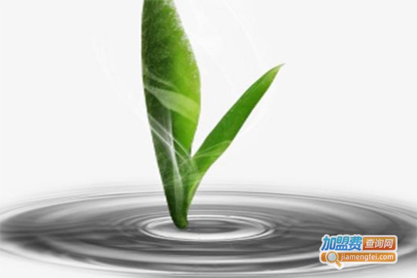 老而青润肺茶加盟费