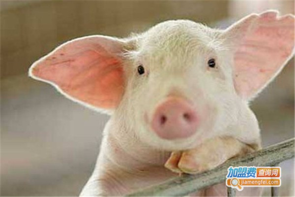 瑞丹农业养殖加盟