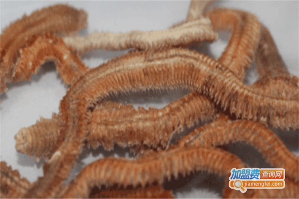 国宇蜈蚣养殖加盟费