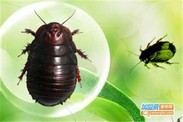 裕农金土元加盟费