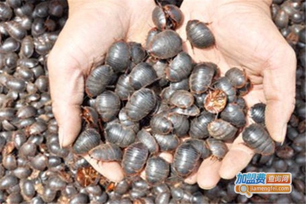 金土元养殖加盟费