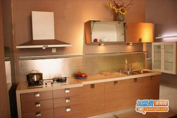 宝丽.汉宾尼加盟费