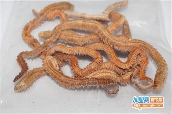 国宇蜈蚣养殖加盟费