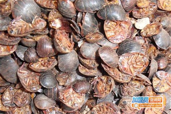 新一代利民19号土元加盟费