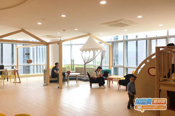 金海豚.金思维加盟