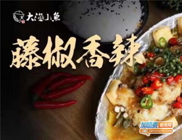 大渔小鱼加盟费