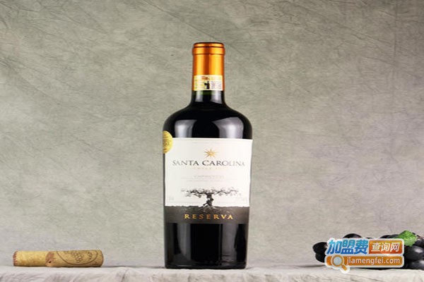 菲图原装进口葡萄酒加盟门店