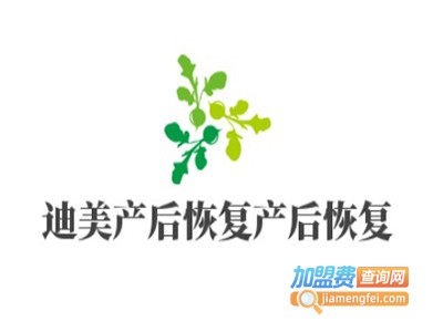 迪美产后恢复产后恢复