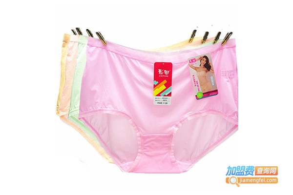 彩田内体加盟费