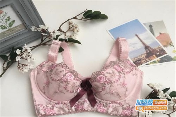 闺中密友加盟费