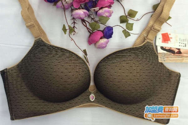 兰琪尔内衣加盟费