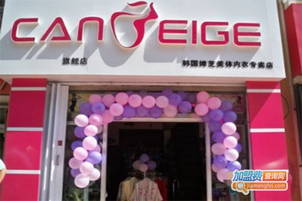 韩国婵芝加盟费