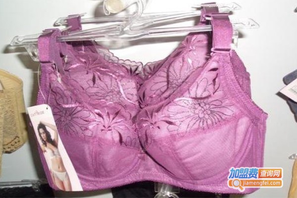 韩国婵芝加盟费