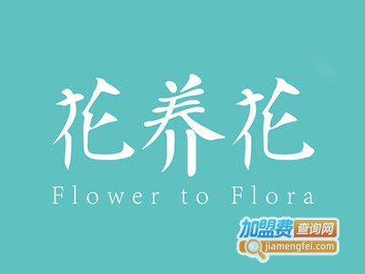 花养花玫瑰茶饮