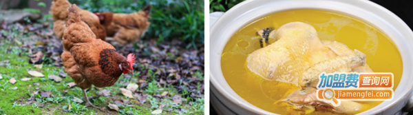 稻舞米粉加盟费