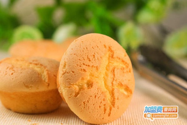 九度心语cake加盟费