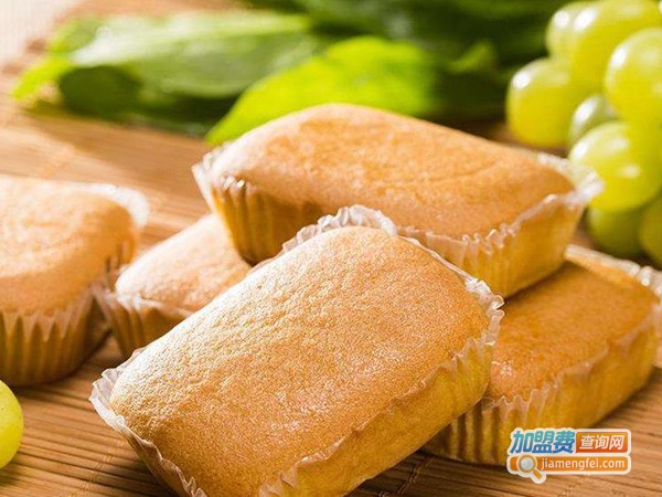 55元休闲食品加盟费多少钱