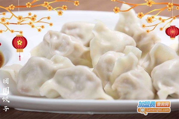 一整年饺子加盟费