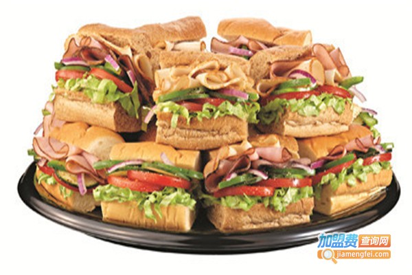 subway赛百味加盟费