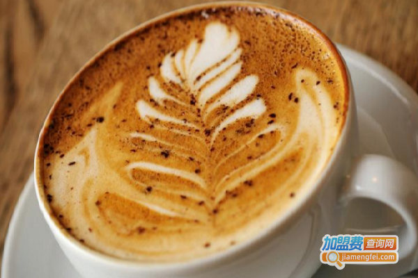 costa咖啡店加盟费多少钱