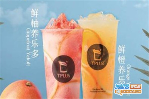 tplus茶家加盟费